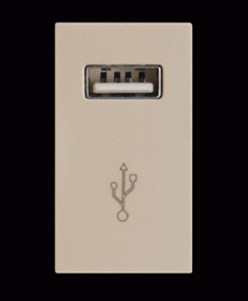 Picture of Cargador USB Ave (C55404)